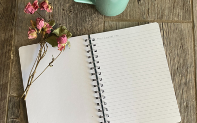 Journaling Through the Thought Model Interview with Skye Angioletti