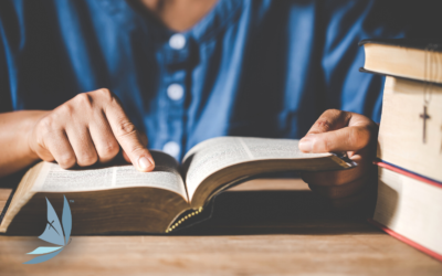 The Mystical City of God and Spiritual Fasting – An interview with Michelle Dunne