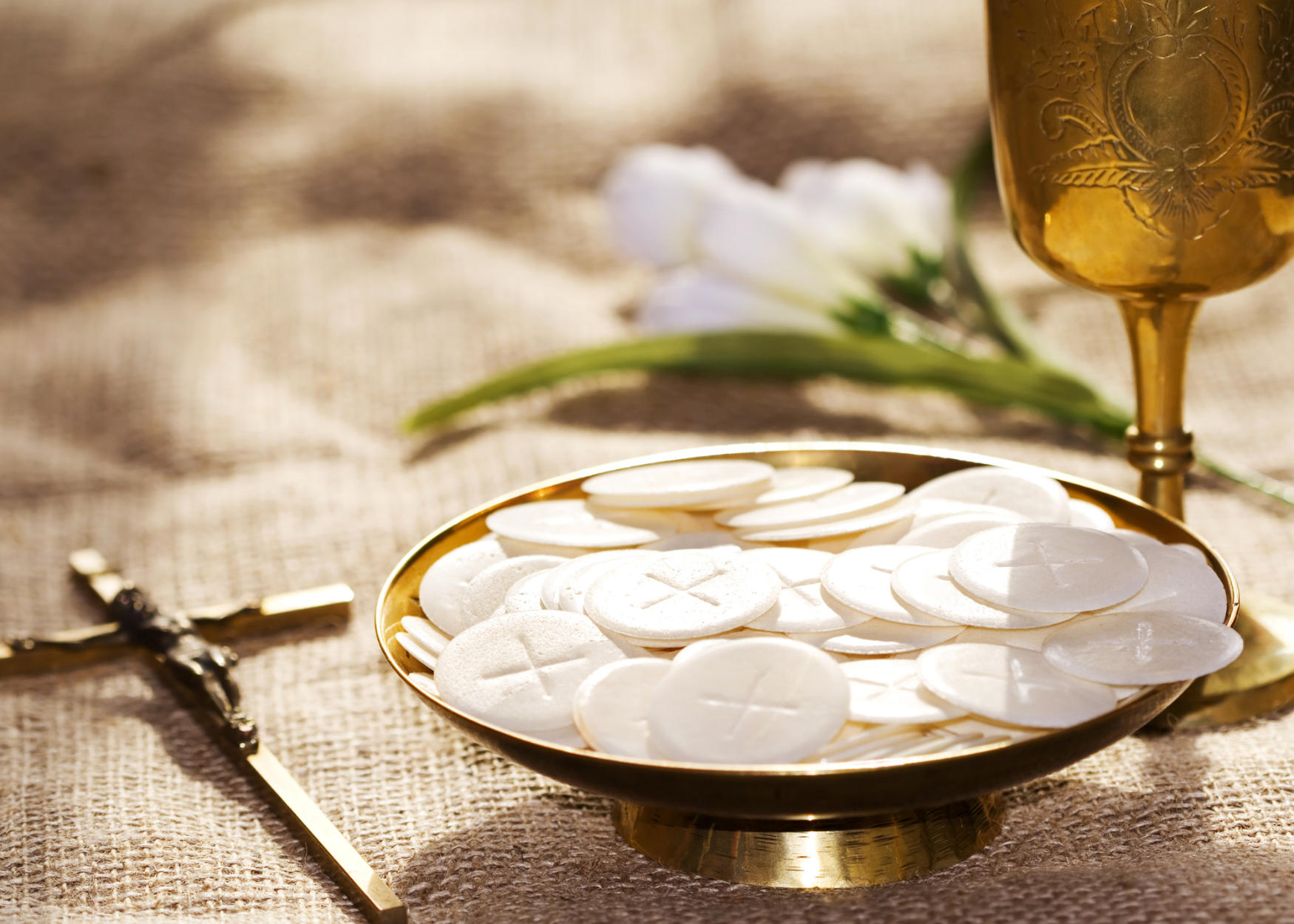 The Joy of Spiritual Fasting Christ the King