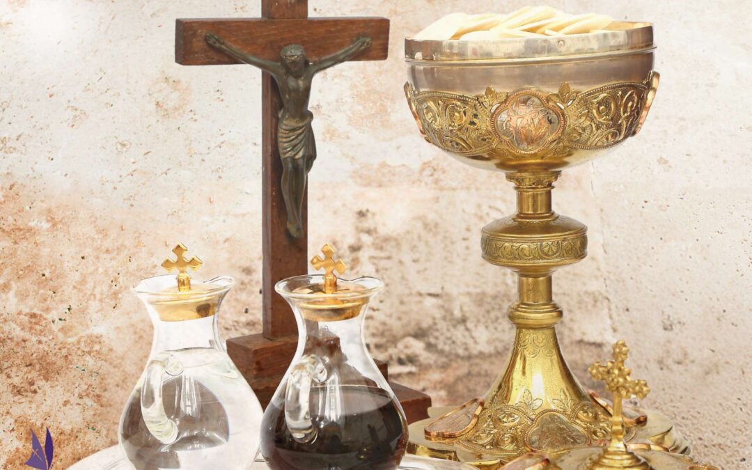 True Food and True Drink with Fr. Edward Looney