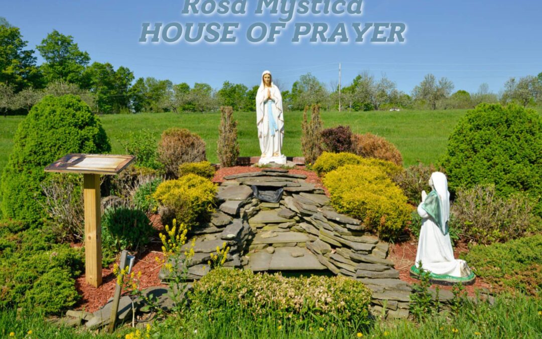 At the Feet of Jesus with JoAnne Von Zwehl