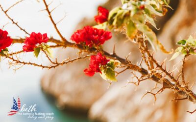 A Thorn In My Flesh