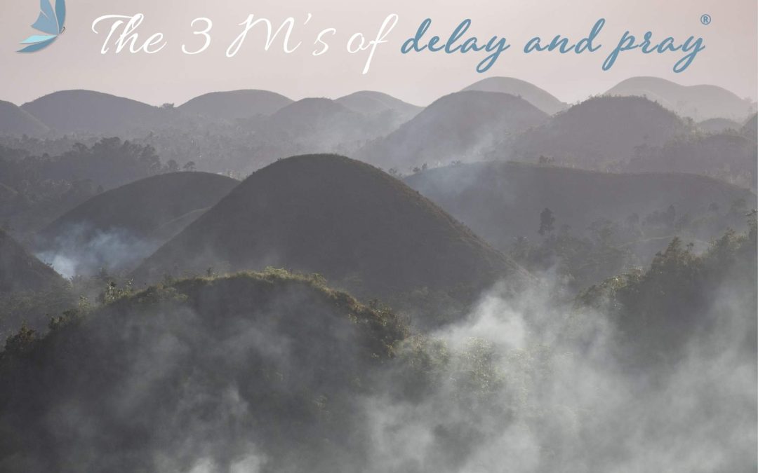 The 3 M’s of Delay and Pray®