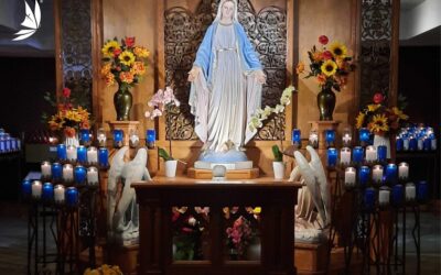A Pilgrim’s Story: Delay and Pray on the Road with Mary